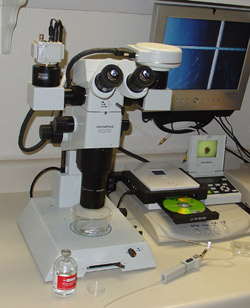 Olympus 2
