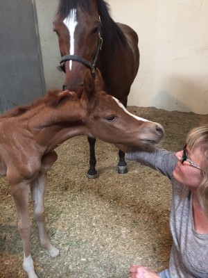 long time friend nancy with new born