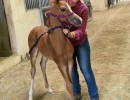 student inturn camila with vitoro colt
