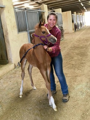 student inturn camila with vitoro colt