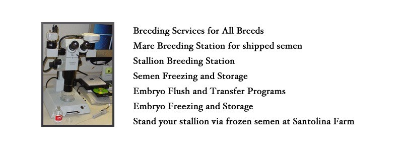 breeding services home