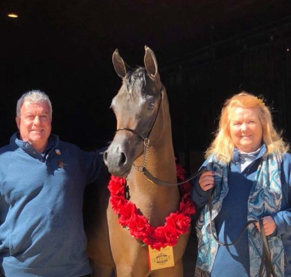 rahpture scottssdale fillies with alex   janice owners