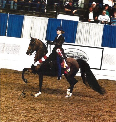 sv basksko offspring6