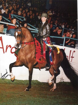 sv basksko offspring7