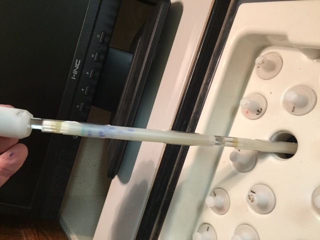 Doses are attached to Aluminum Cane ready to freeze