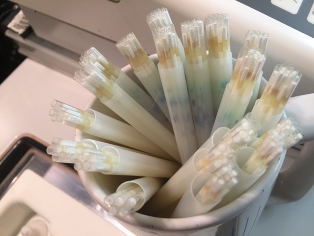 Doses ready to load