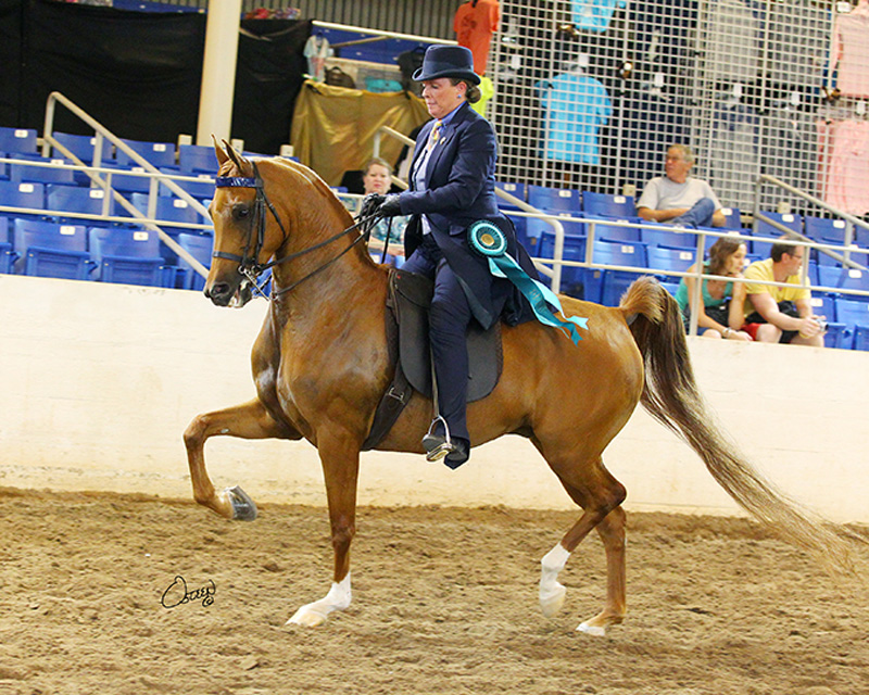 Kim Farmer and Diesel Afire